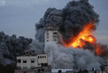 حصيلة-الشهداء-في-غزة-تتجاوز-52-ألفًا-منذ-بدء-العدوان-الإسرائيلي.-والأغلبية-من-الأطفال-والنساء