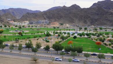 صور.-متنزه-“الأمير-جلوي”-بنجران-وجهة-لقضاء-أمتع-الإجازات