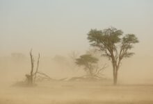 حتى-5-صباحًا.-أتربة-مثارة-على-أجزاء-من-المنطقة-الشرقية-والرياض