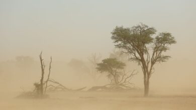 حتى-5-صباحًا.-أتربة-مثارة-على-أجزاء-من-المنطقة-الشرقية-والرياض