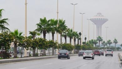 أتربة-وأمطار-ورياح.-طقس-متنوع-على-الشرقية-يوم-الخميس