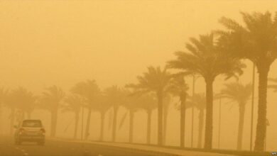 طقس-الشرقية.-تنبيه-من-أتربة-مثارة-ورياح-وشبه-انعدام-في-الرؤية