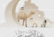 موعد-إجازة-عيد-الأضحى-2025-رسميًا
