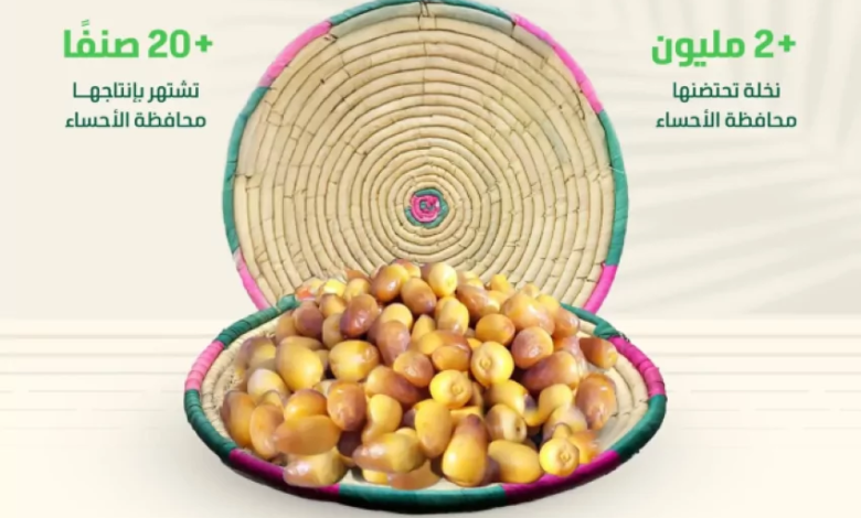 بواكير-الرطب-الحساوي-تبشر-بإنتاج-وفير-والأسواق-تتهيأ-لاستقبال-أشهر-أنواعه-من-الخلاص-والشيشي-والغر
