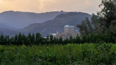 تنوع-الطبيعة-في-نجران-يجعل-السياحة-الريفية-مقصدًا-لكل-الزوار