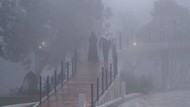 طقس-الصباح-الباكر.-ضباب-خفيف-على-أجزاء-من-المنطقة-الشرقية