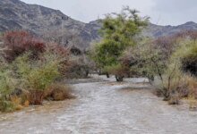 الأمطار-الغزيرة-تضفي-لمسة-خلابة-على-أجواء-الصيف-في-الباحة