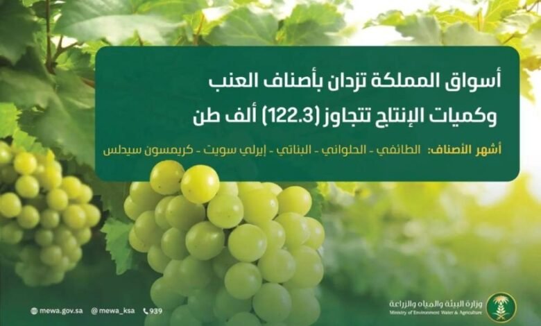 أسواق-المملكة-تزدان-بأجود-أصناف-العنب-وكميات-الإنتاج-تتجاوز-(122.3)-ألف-طن