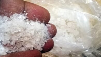 القبض-على-3-أشخاص-لترويجهم-مادة-“الشبو”-المخدر-في-الشرقية
