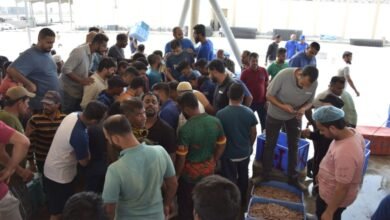 بعد-7-أطنان-من-الطرادات.-توقعات-بانخفاض-أسعار-الروبيان-50%-عاجل