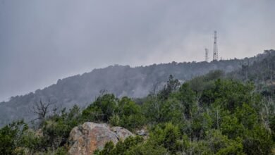 صور|-الضباب-يعانق-الجبال-ويعزز-جاذبية-التجربة-السياحية-في-الباحة