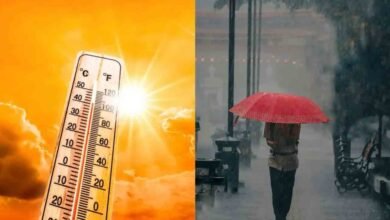 طقس-الاثنين.-موجة-حارة-وأمطار-خفيفة-على-أجزاء-من-الشرقية