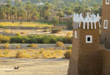 “قصر-العان”.-إبداع-معامري-تاريخي-وإطلالة-ساحرة-على-وادي-نجران