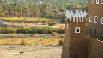 “قصر-العان”.-إبداع-معامري-تاريخي-وإطلالة-ساحرة-على-وادي-نجران