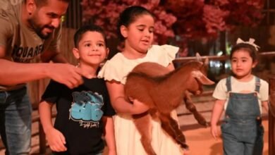 تضم-200-حيوان.-“غابة-العجائب”-تجربة-ترفيهية-استثنائية-في-موسم-جدة