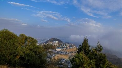 مناخ-نادر-وطبيعة-ساحرة.-الأمطار-الصيفية-تنعش-طبيعة-الباحة-الخضراء