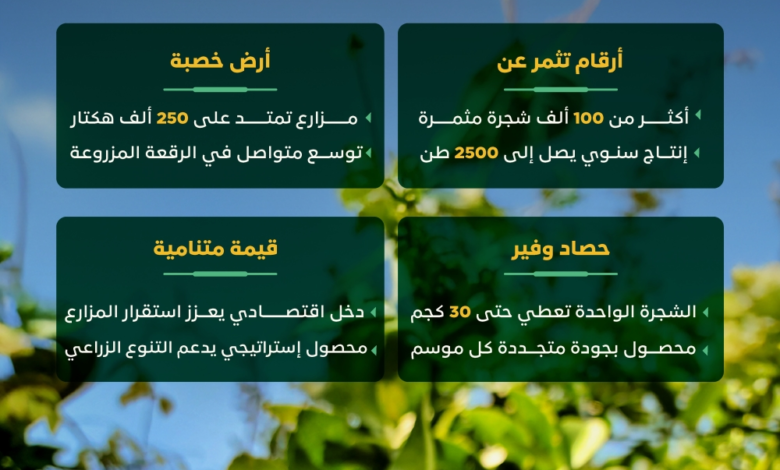 دعم-مزارعي-الليمون-وتسويق-منتجاتهم-خلال-معرض-اللومي-الحساوي-2025