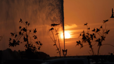 نافورة-جدة.-معلم-سياحي-يستقطب-الزوار-والأهالي-بمناظر-ساحرة