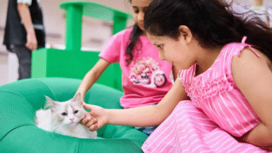 “غابة-العجائب”-تجارب-تفاعلية-تُثري-خيال-الأطفال-ضمن-فعاليات-موسم-جدة