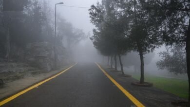 طقس-الصباح-الباكر.-ضباب-خفيف-وأمطار-متوسطة-على-أجزاء-من-الشرقية