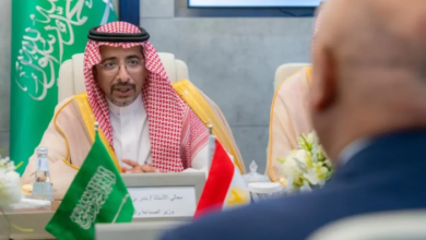وزير-الصناعة-يبحث-تعزيز-التكامل-الصناعي-مع-جمهورية-مصر
