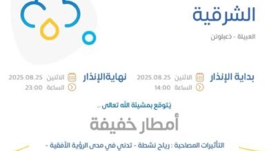 صواعق-ورياح-تصاحب-الأمطار.-“الأرصاد”-يكشف-عن-طقس-الشرقية-اليوم
