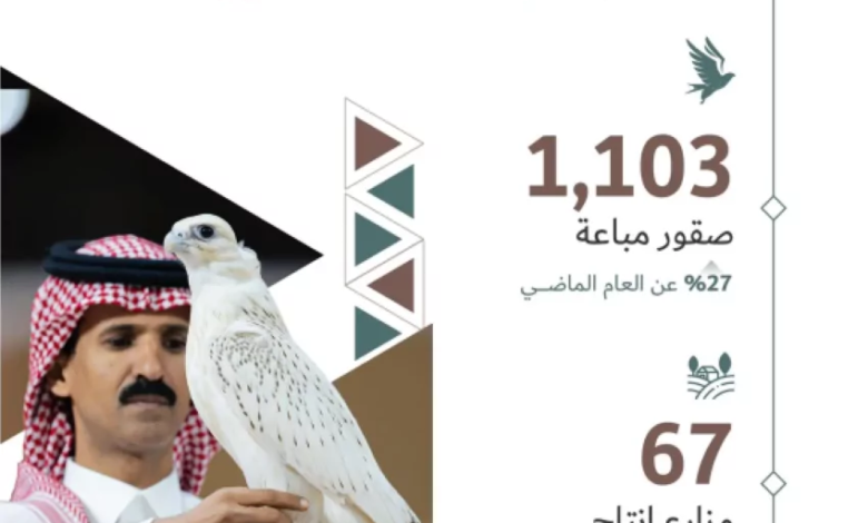 المزاد-الدولي-لمزارع-إنتاج-الصقور-2025-يختتم-فعالياته-بمبيعات-تجاوزت-13-مليون-ريال