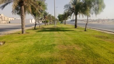 الشرقية.-إزالة-119-سيارة-تالفة-و680-حاجزًا-خرسانيًا-في-البيضاء