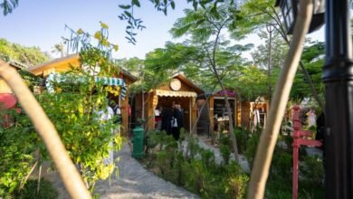 صور-|-تجربة-فريدة-في-الطائف. متعة-الأنشطة-العائلية-مع-مزرعة-الفراولة