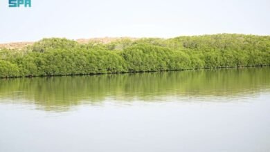 تنوع-التضاريس-في-منطقة-جازان-يثري-التجربة-السياحية-والترفيهية