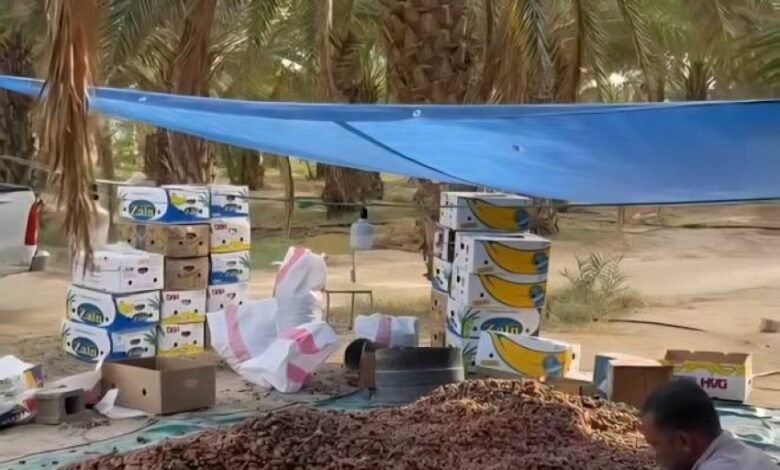 البيئة:-توقف-مهرجان-رنية-للتمور-يعود-لمراجعة-تطوير-آليات-التنظيم