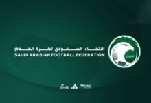 اليوم-الجمعة.-انطلاق-الدوريات-الممتازة-للفئات-السنية