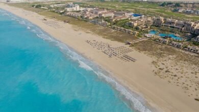 جزيرة-السعديات-أبوظبي-الوجهة-الأمثل-للاحتفال-باليوم-الوطني-السعودي-على-شواطئ-الخليج-العربي-الساحرة