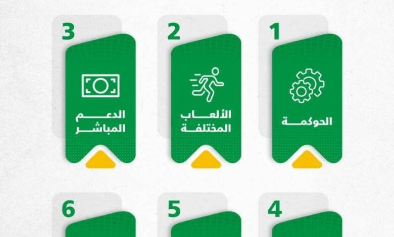 وزارة-الرياضة-تُعلن-عن-استراتيجية-دعم-الأندية-بنموذج-تمويلي-وتحفيزي-جديد