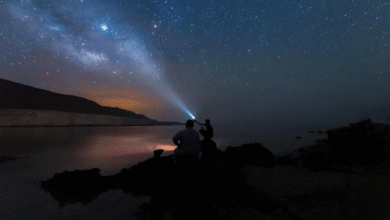 مقومات-طبيعية-استثنائية-ومشاريع-نوعية.-السعودية-ترسّخ-مكانتها-وجهةً-سياحيةً-عالميةً