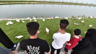 9-أنشطة-سياحية-استثنائية-بانتظارك-على-كورنيش-الخبر-الشمالي