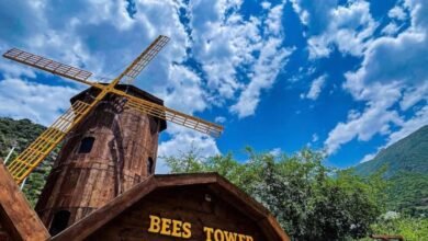 كوخ-العسل-في-رجال-ألمع.-تجربة-ترفيهية-تجمع-التراث-والسياحة-العالمية