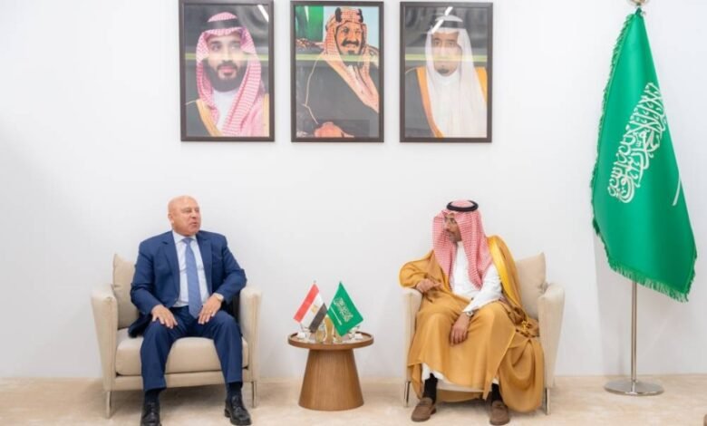 وزير-الصناعة-يلتقي-نائب-رئيس-مجلس-الوزراء-للتنمية-الصناعية-المصري