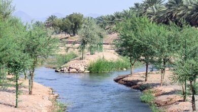 صور-|-وادي-قناة.-رحلة-تاريخية-وسط-الطبيعة-في-المدينة-المنورة