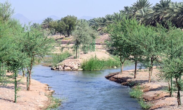 صور-|-وادي-قناة.-رحلة-تاريخية-وسط-الطبيعة-في-المدينة-المنورة
