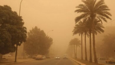حتى-مساء-السبت.-رياح-نشطة-وتدن-في-الرؤية-على-أجزاء-من-الشرقية