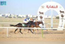 حفر-الباطن-يحقق-كأس-محافظة-شرورة-في-سباقات-الخيل-بنجران