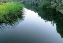 صور-|-وادي-تربة.-إرث-تاريخي-عريق-ووجهة-سياحية-بمكة-المكرمة