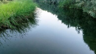 صور-|-وادي-تربة.-إرث-تاريخي-عريق-ووجهة-سياحية-بمكة-المكرمة