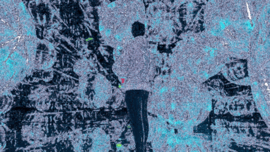 “هاوس-أو-هايب”.-فعاليات-تضع-المغامرين-في-عالم-ساحر-بين-الواقع-والخيال