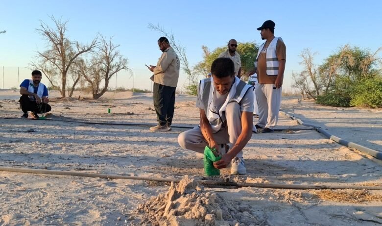 صور-|-بمشاركة-100-متطوع.-مبادرة-لزيادة-الرقعة-الخضراء-بالأحساء