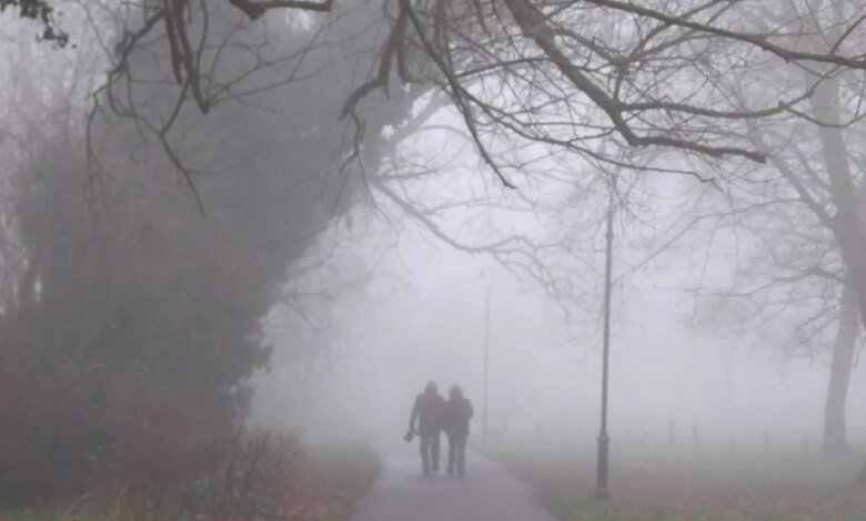 إنذار-أصفر.-تنبيه-من-ضباب-خفيف-على-أجزاء-من-الشرقية