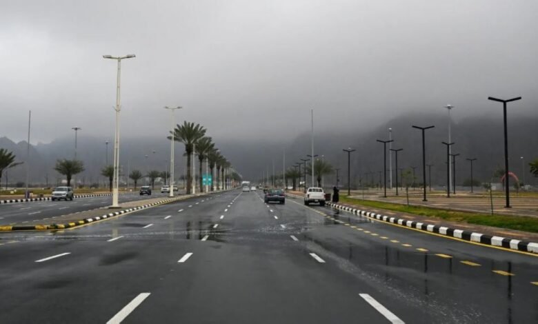 طقس-الشرقية.-ضباب-على-العديد-خلال-ساعات-الصباح-الباكر