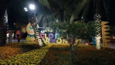 شاهد-|-حديقة-السويدي.-عروض-عالمية-ومساحات-ترفيهية-عبر-14-ثقافة