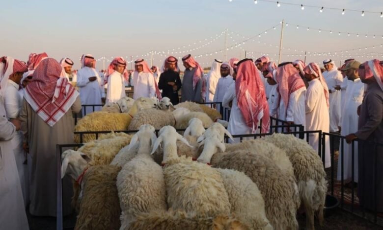 انطلاق-مهرجان-الطائف-الأول-لسلالات-الأغنام-الحرية-2025